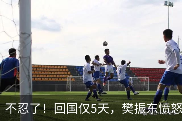 不忍了！回国仅5天，樊振东愤怒发声，没想到刘国梁早期担心成真