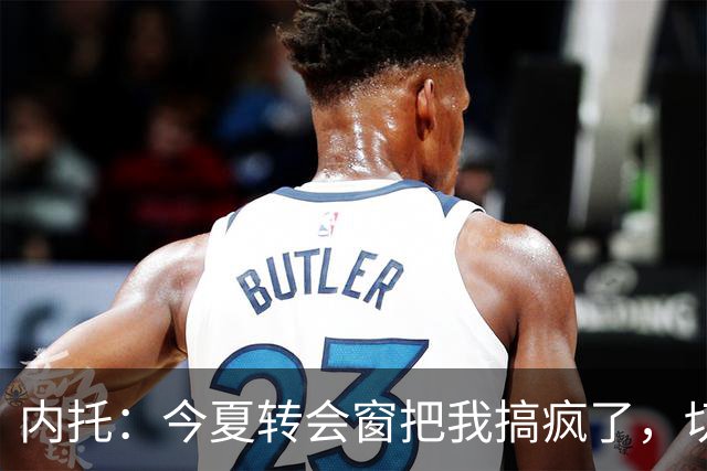 内托：今夏转会窗把我搞疯了，切尔西像家一样