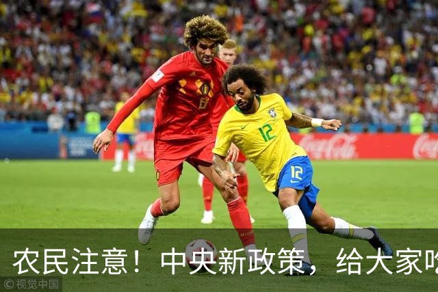 农民注意！中央新政策，给大家吃下定心丸