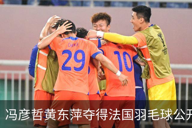 冯彦哲/黄东萍夺得法国羽毛球公开赛混双冠军