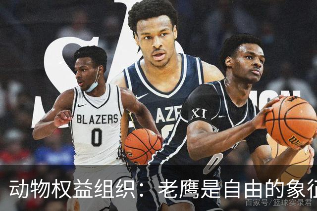 动物权益组织：老鹰是自由的象征，不是水晶宫取悦球迷的道具