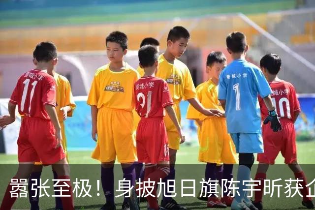 嚣张至极！身披旭日旗陈宇昕获企业公开支持：一起披！汤家凤痛斥