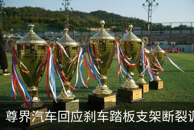尊界汽车回应刹车踏板支架断裂调查：全力配合调查组