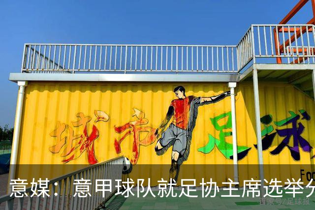 意媒：意甲球队就足协主席选举分为马拉戈、加利亚尼两个阵营