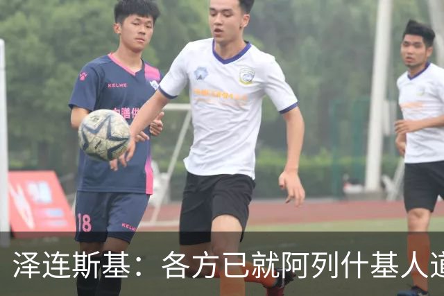 泽连斯基：各方已就阿列什基人道主义行动达成协议