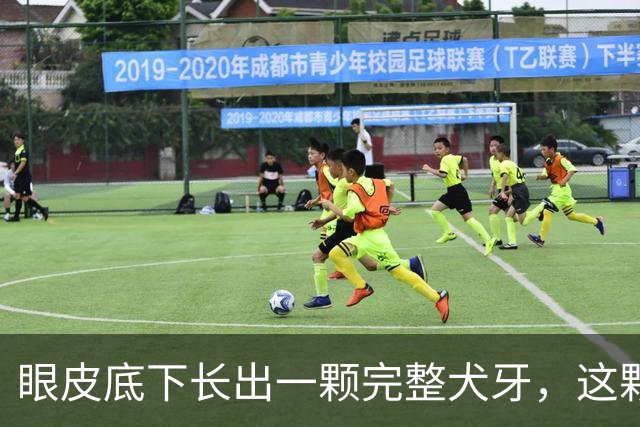 眼皮底下长出一颗完整犬牙，这颗牙到底是怎么“走错门”的？