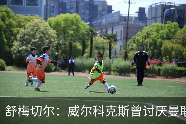 舒梅切尔：威尔科克斯曾讨厌曼联，为何如今却在曼联任职
