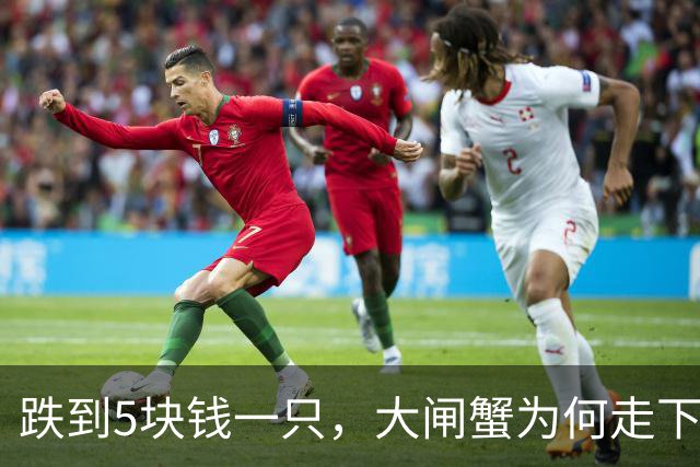 跌到5块钱一只，大闸蟹为何走下神坛？