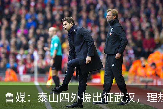 鲁媒：泰山四外援出征武汉，理想情况下泽卡能在与蓉城比赛复出